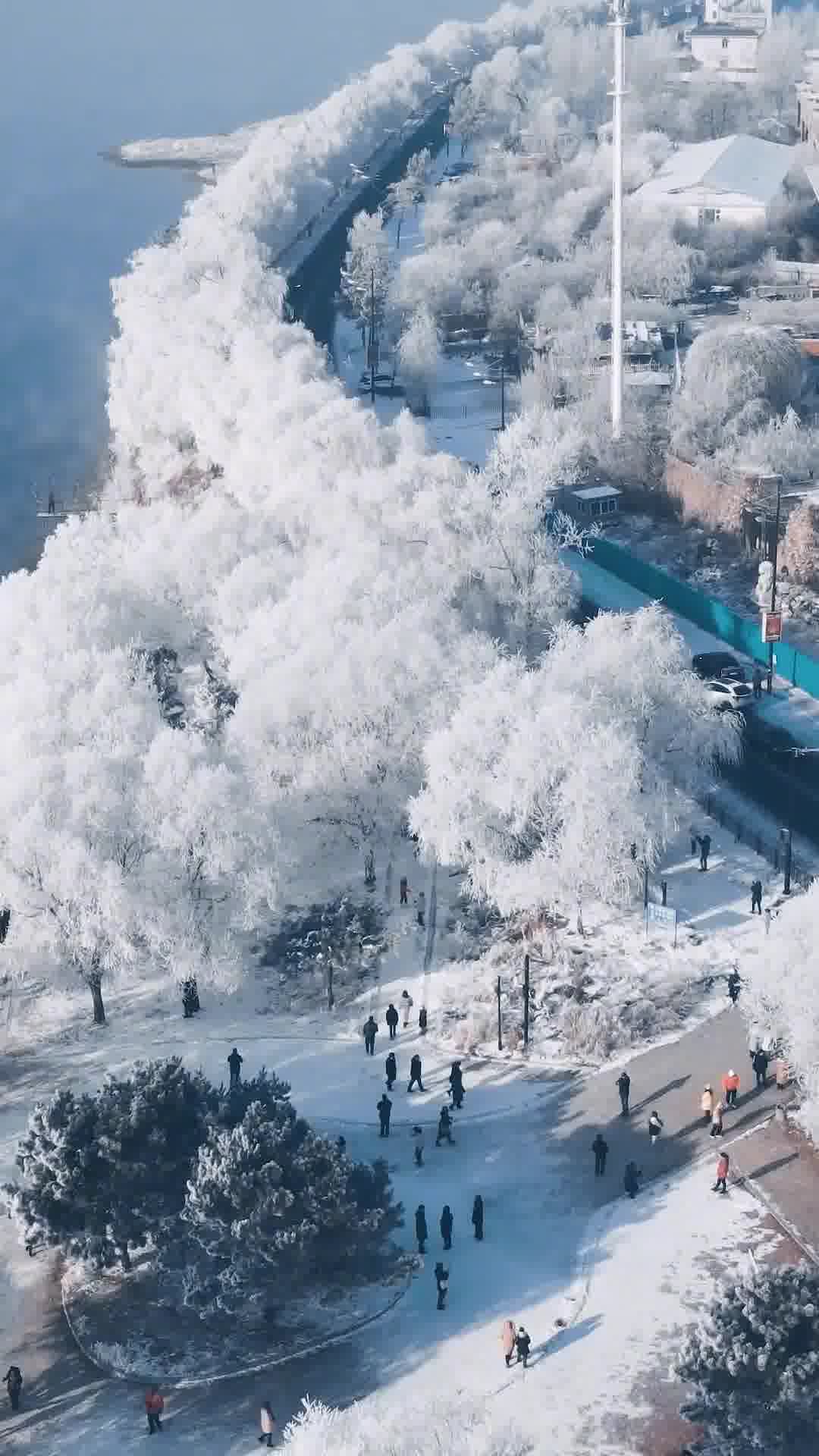吉林之旅，绿意盎然，海滨风情🌿🍃🌊