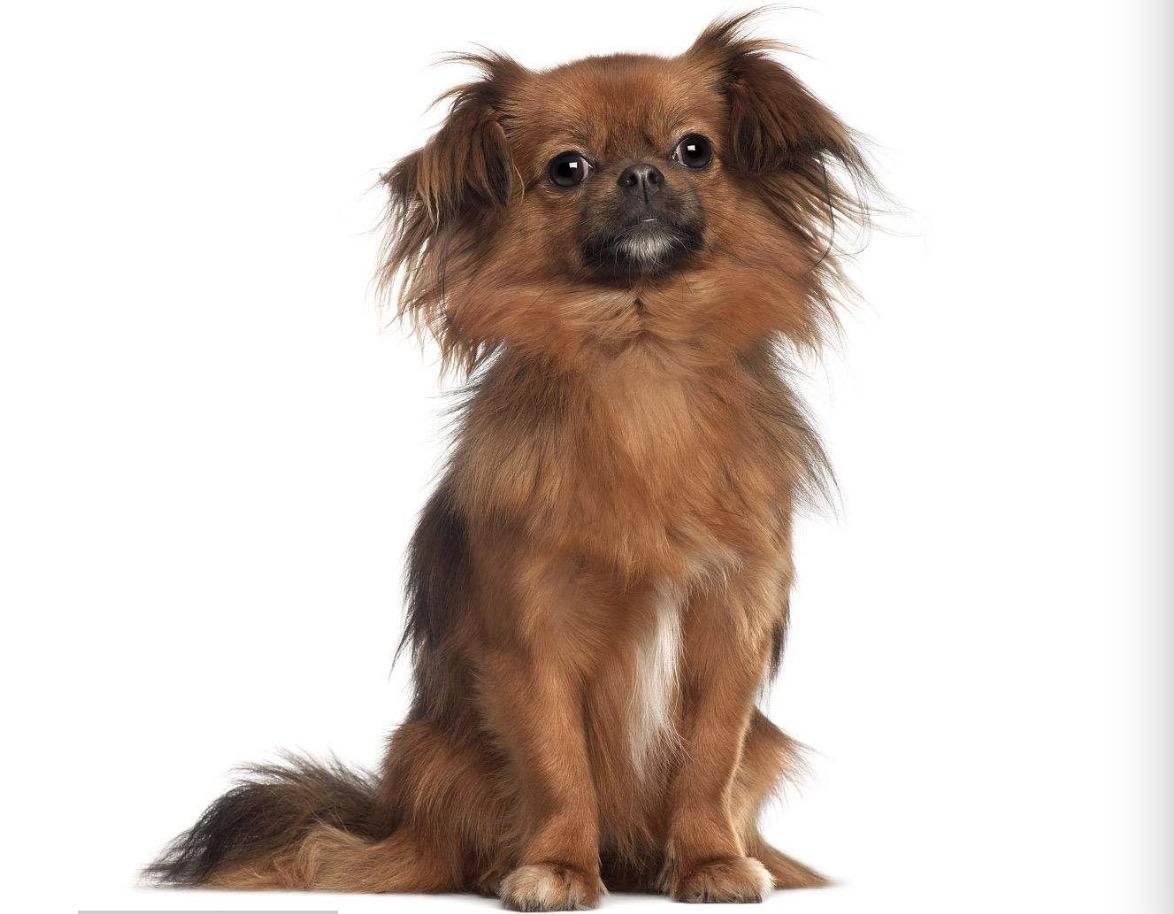 探寻西藏，神秘高原的诱惑与魅力