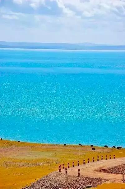 青海风华,主持人倾情开场